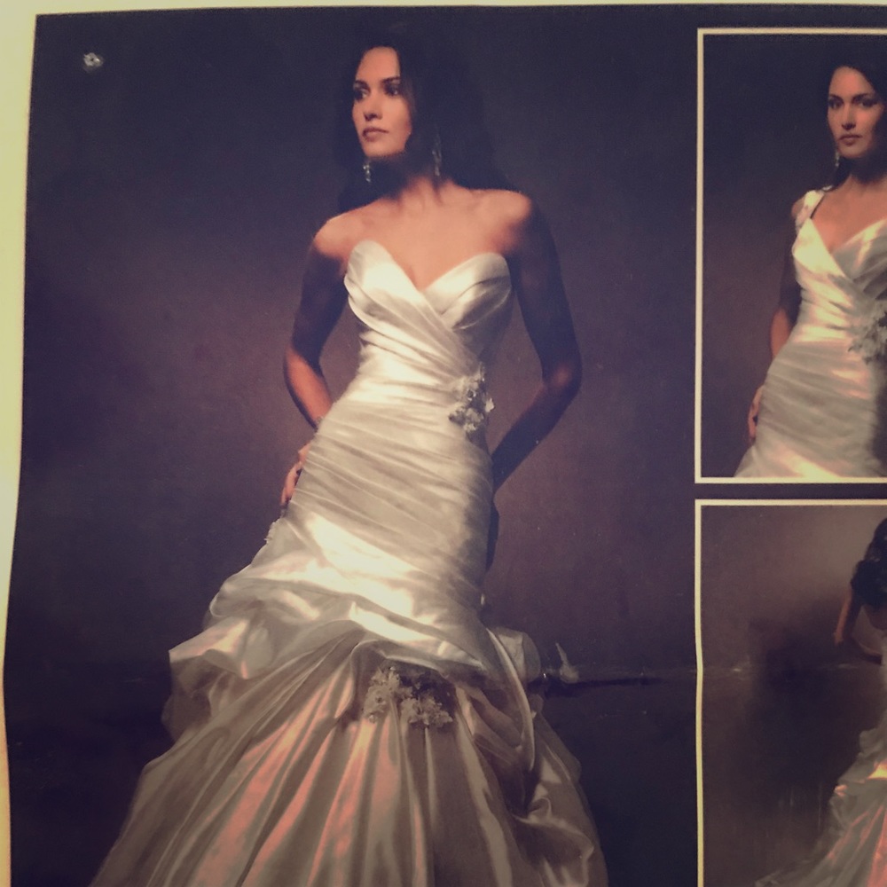Alita Valencia Organza Wedding Dress